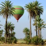 Explorez Marrakech : Une Ville Vibrante aux Mille Activités !